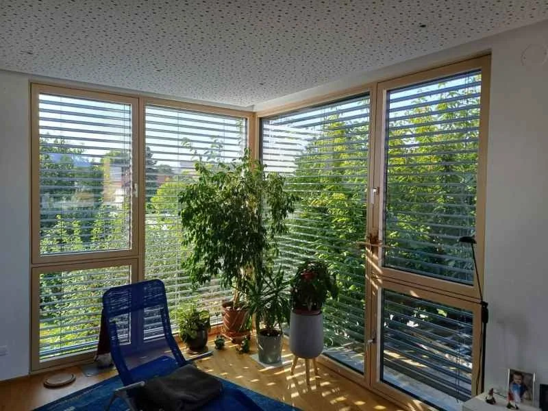 Holz-Eckfenster mit Raffstore und Zimmerpflanzen